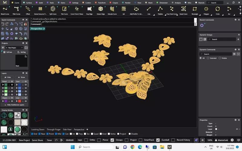 Pakistani gold Service