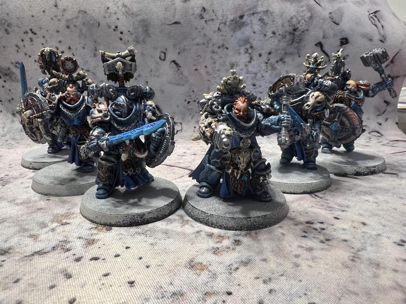 Star Vikings Well Seasoned Guards of the Blade