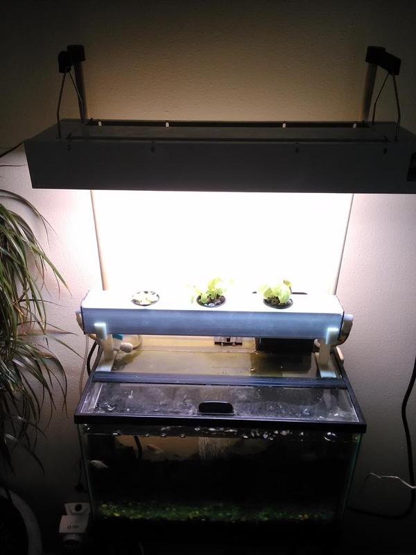 10 Gallon Aquaponic Light Holder