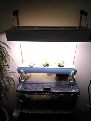10 Gallon Aquaponic Light Holder
