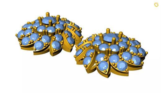 Earring