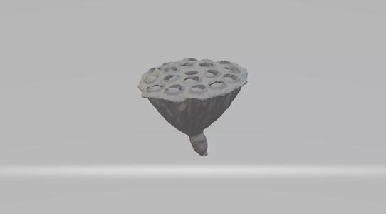 Lotus Pod 3D Model