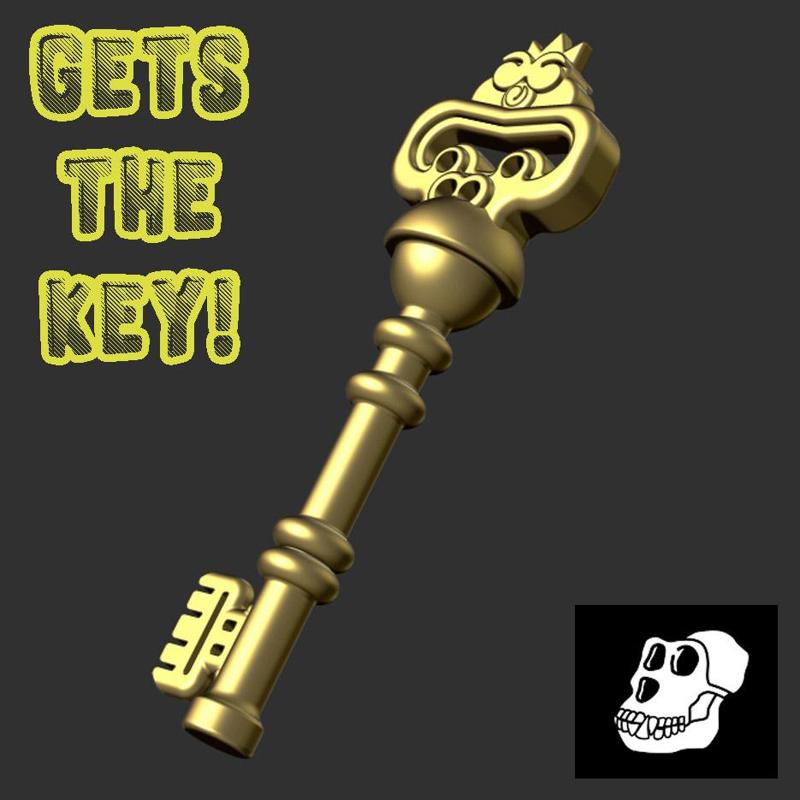 DOOKEY DASH KEY - BORED APE