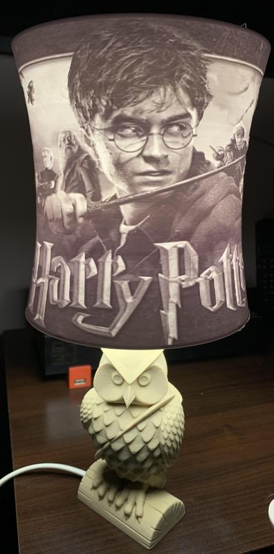 Harry Potter Litho Lamp