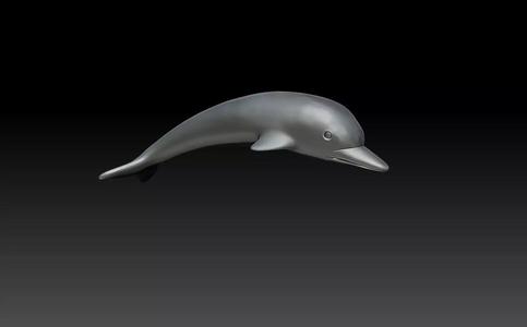 dolphin