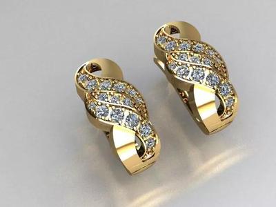 earrings jewelry