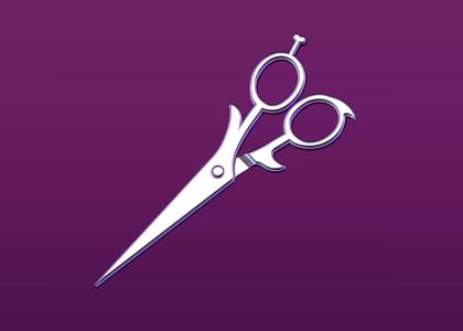 TOKO FUKAWA SCISSORS