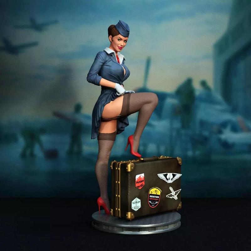pin-up stewardess