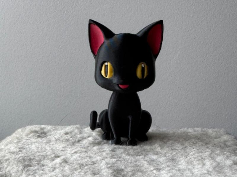 Shadow Cat - The black kitten