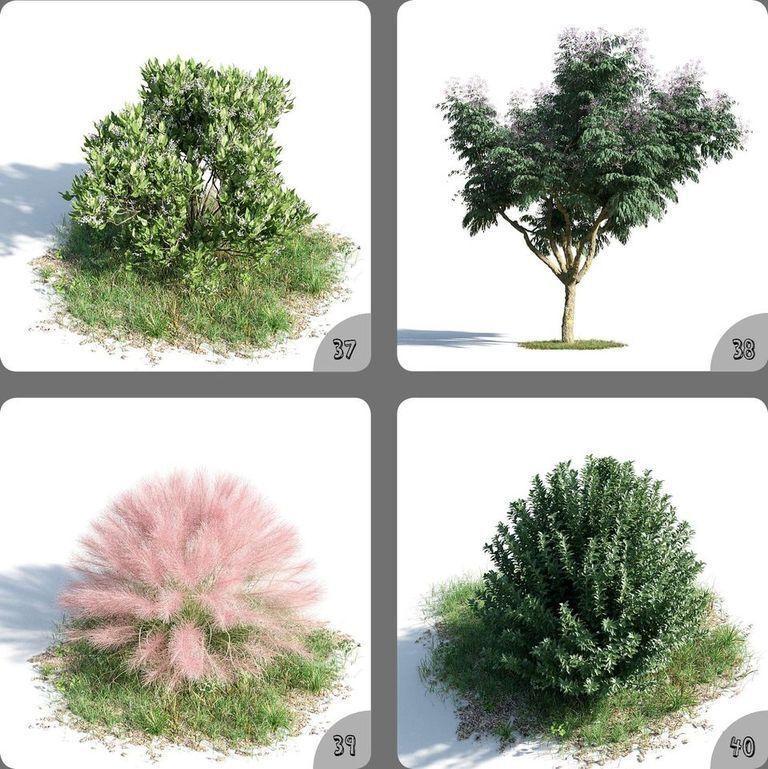 Plant Flowers Beautiful Decor Home Tree Gadget 3d Model 37-40