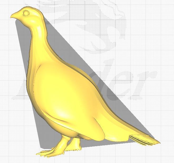 3D model represents an Urutaú