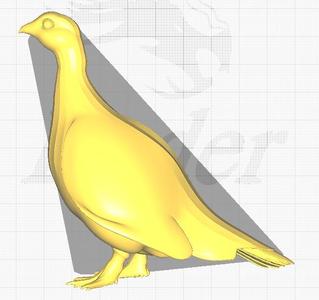 3D model represents an Urutaú