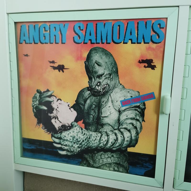 Display Door 12" Record LP for Kallax Expedit Ikea "Vinylit Rekordax