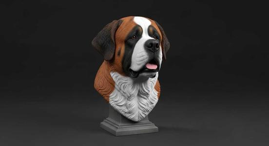 Bust / bust Saint Bernard