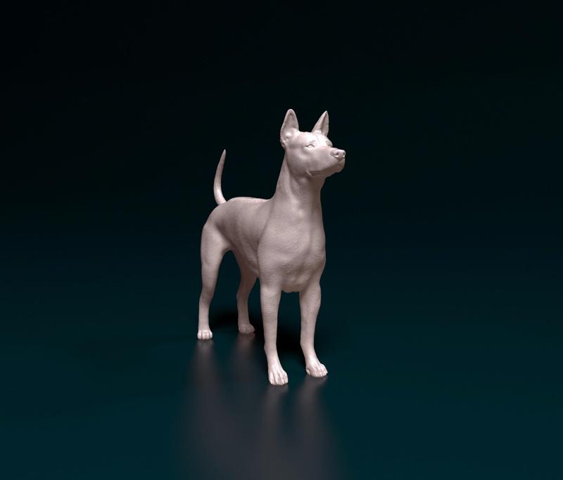 Thai Ridgeback