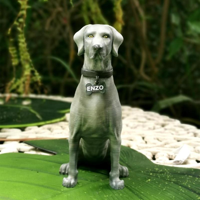 Urn for Weimaraner dog