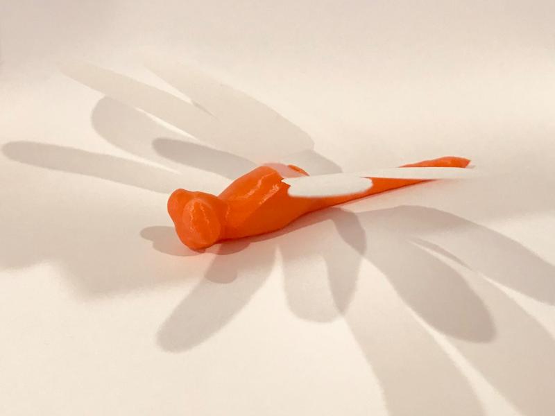 DragonGuard: Fight the bugs!