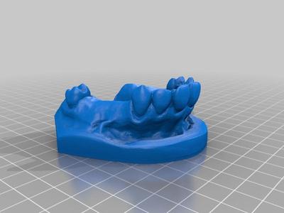 model for cast.stl