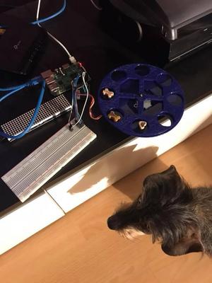 DogTreatStation (Hundeleckerlistation)