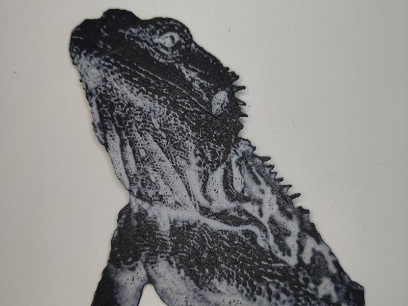 Lizard 2D, black and white