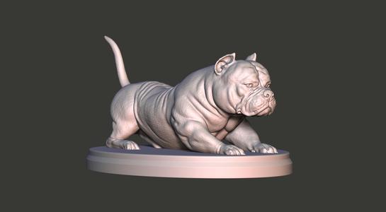 American Bully Recumbent