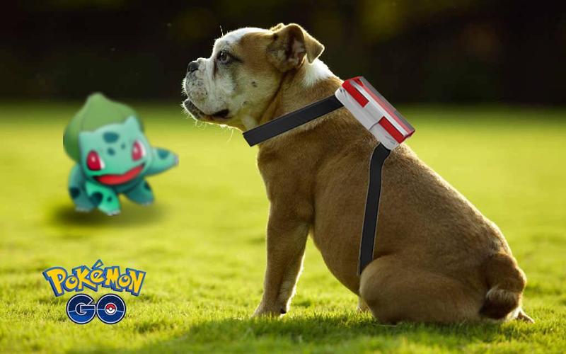pokemon go doggysitter