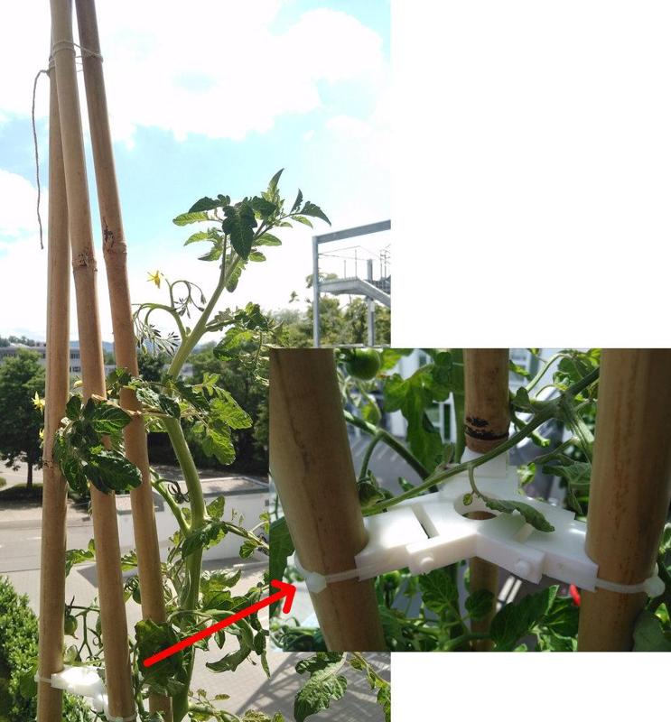 Reinforcement for bamboo climbing aid