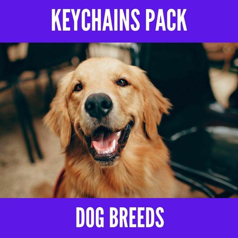 Pack of dog breeds keychains