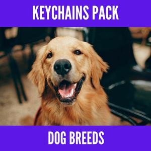 Pack of dog breeds keychains