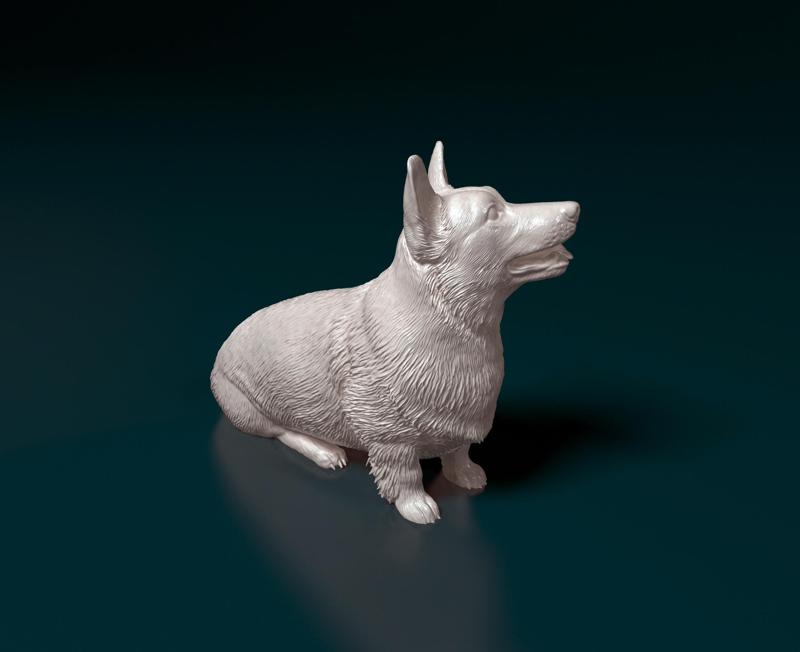 Pembroke Welsh Corgi