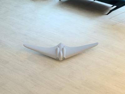 Horten Ho 229 Jet