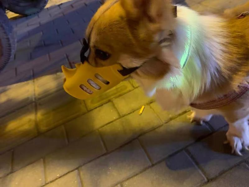 Pet accessories dog muzzle