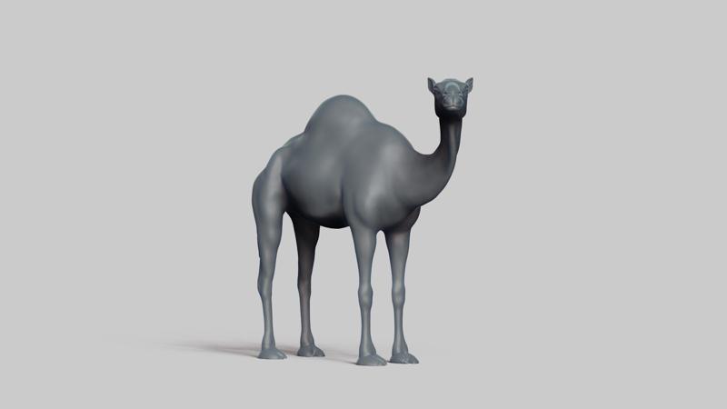 camel pose 02