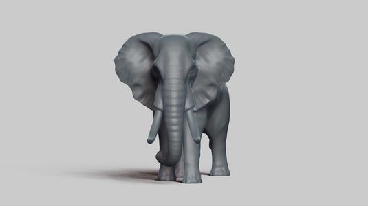 african elephant pose 03