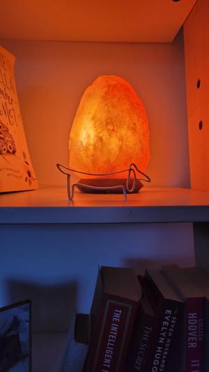 Minimalist Dachshund Line Art | Picasso esque Dachshund Statue | Minimalist Dachshund Art