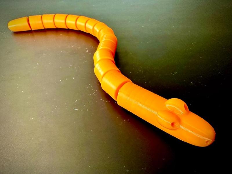 Cute Articulated Earthworm