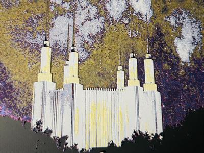 Washington DC Temple Night Sky