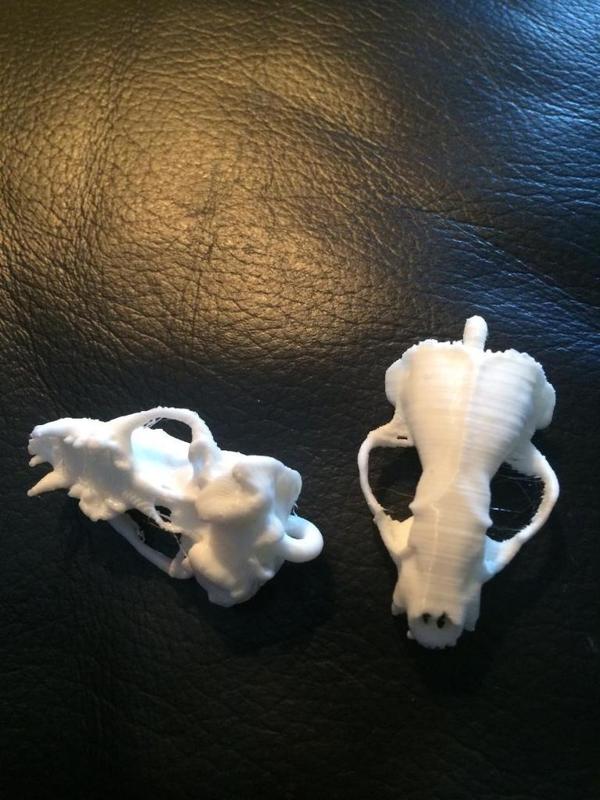 American Badger Skull Pendant