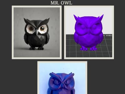 MR. OWL - 001
