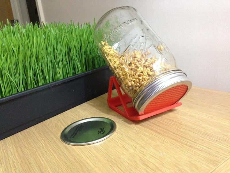 Sprouter - Lid Strainer & Stand