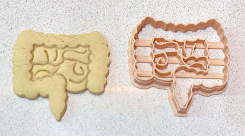 Cookie cutter Human organ intestines