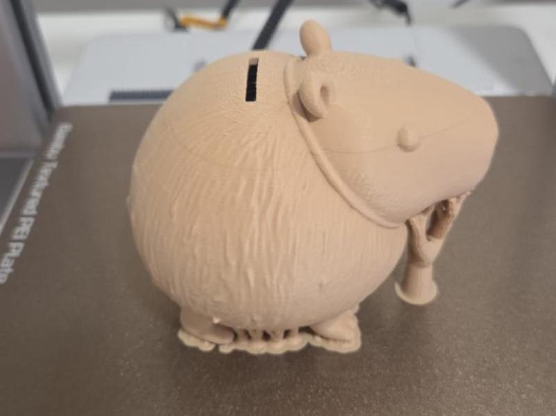 capibarelo cocosino meme(piggy bank)