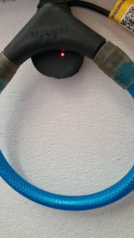 Leuchtie Easy charge premium Ladegerät Halterung holder in easteregg shape Hunde Leuchtring Leuchtband Dogs lightring