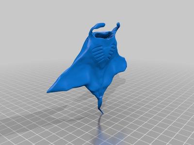 Manta ray