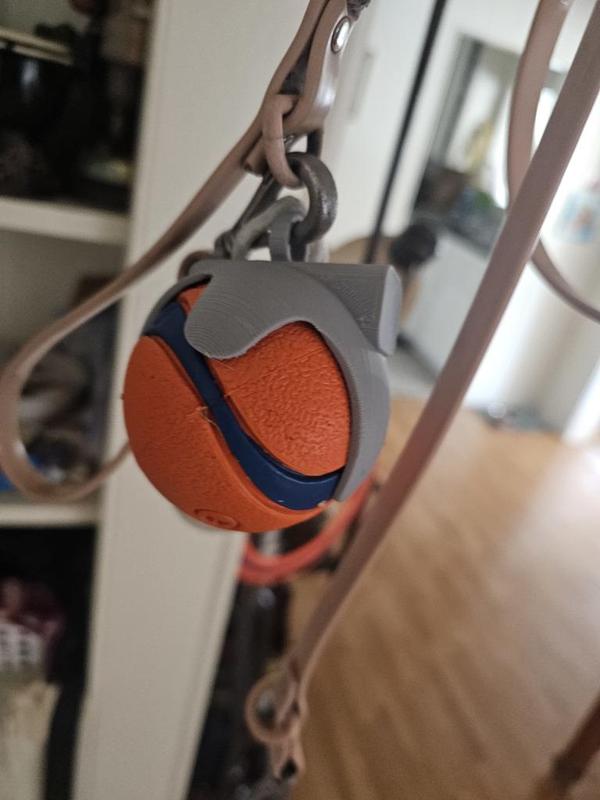 Leash Ball Holder