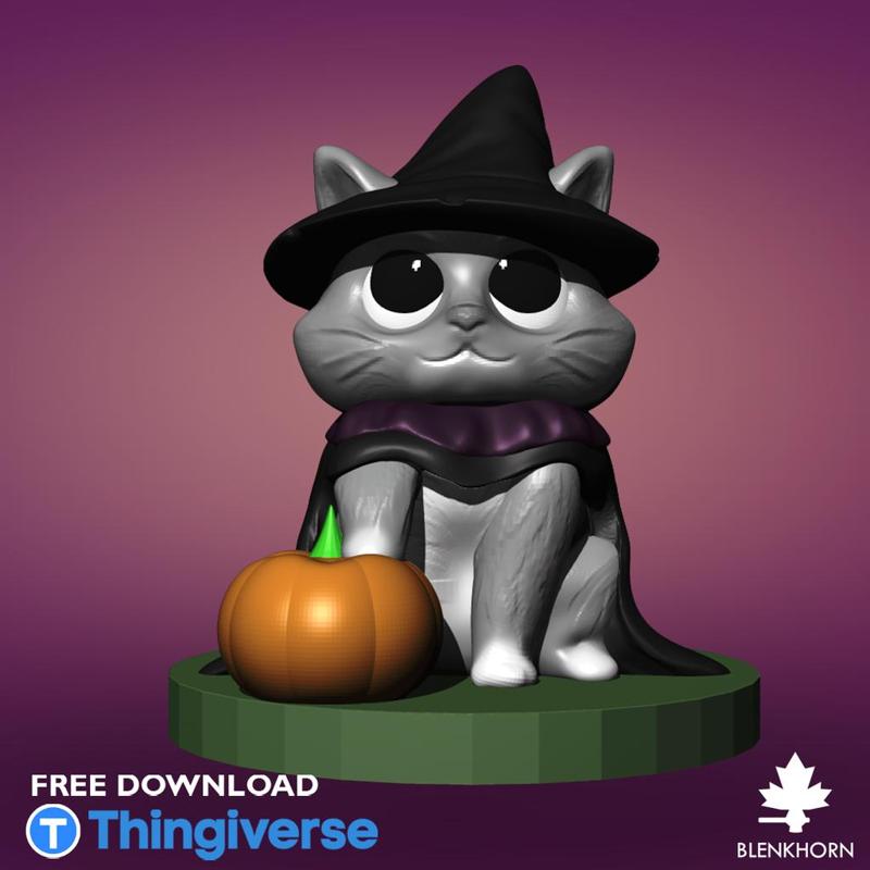 ANIMAL SERIES - MAINE COON CAT