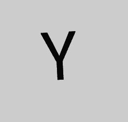 Y