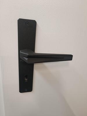 Door handle and door plate