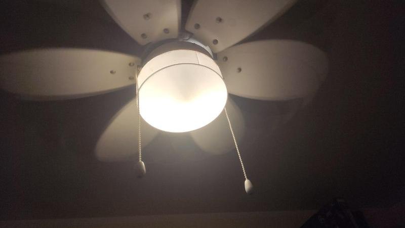 globe lamp ceiling fan 