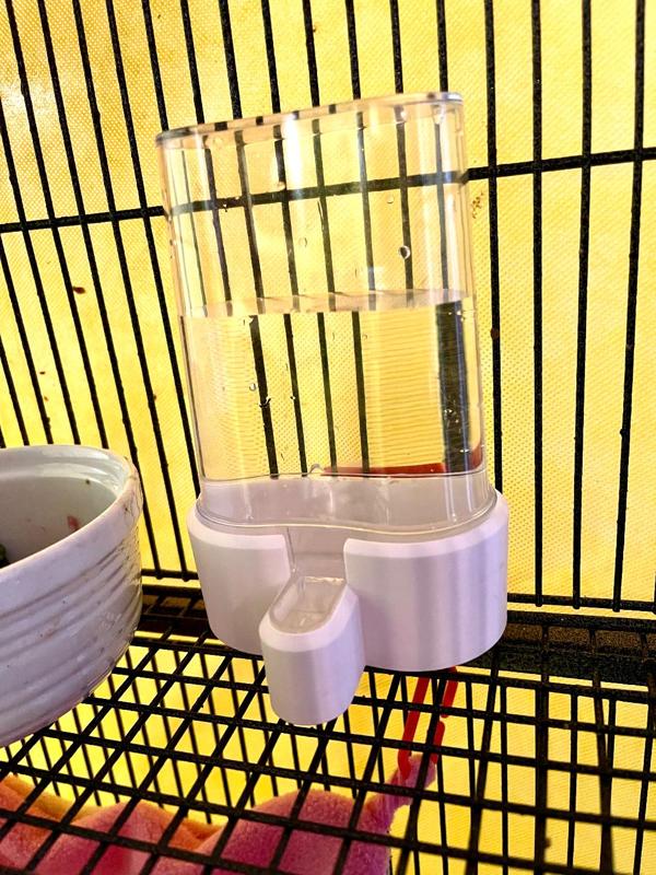 Bird Cage Water Bottle Dispenser / Sugar Gliders